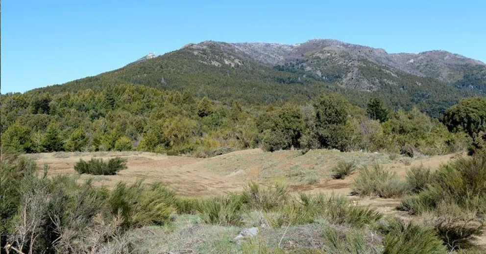 El municipio autorizó el entierro de una líder mapuche en su comunidad