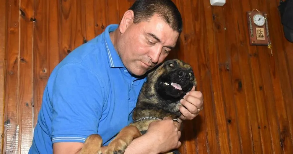 Murió Alcón, un perro que fue crucial en la búsqueda de personas