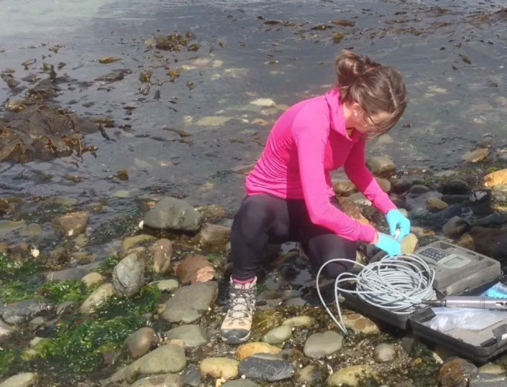 El pez sierra podría “serruchar el piso” a la merluza en el canal Beagle