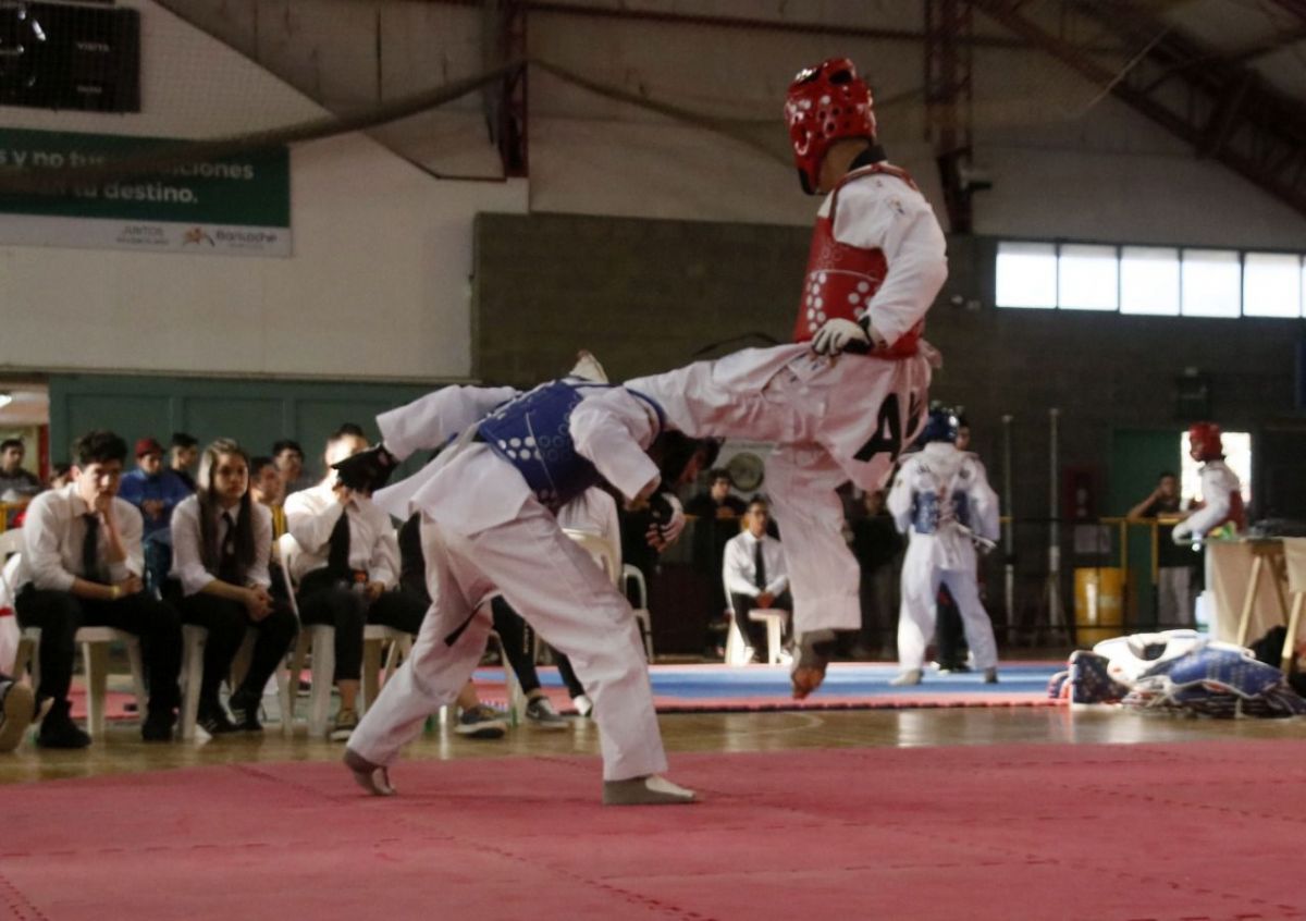 La Copa de Campeones de Taekwondo se fue para Sierra Grande Diario El