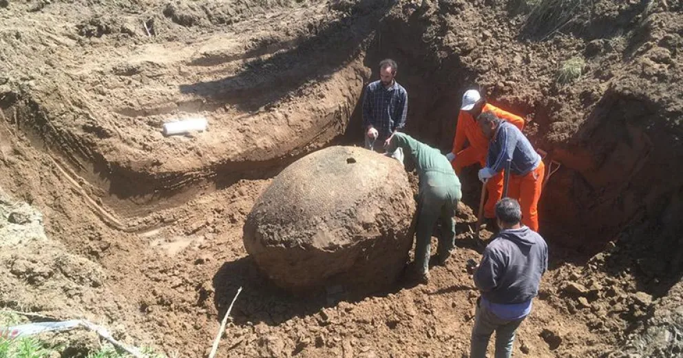 Rescataron los fósiles del gliptodonte hallado en Ezeiza