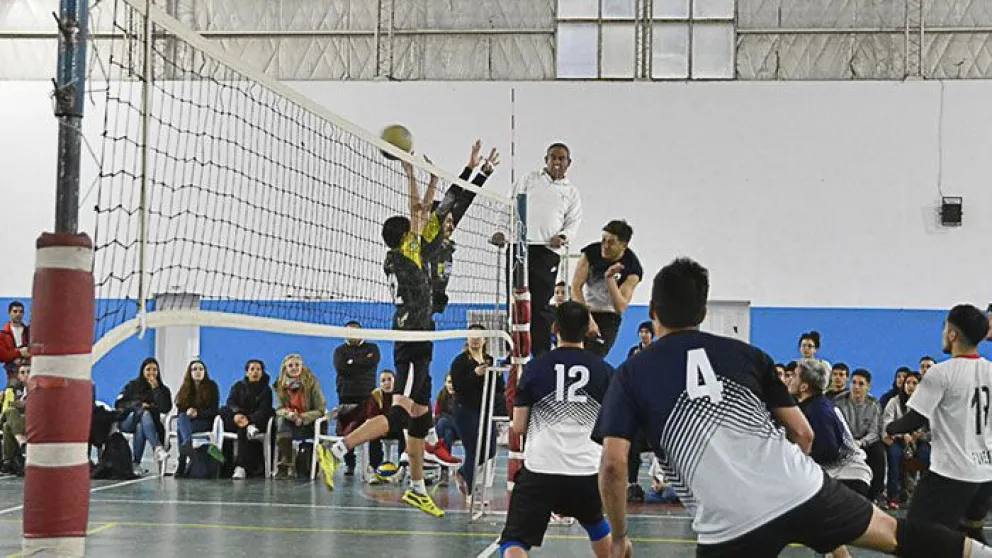 Piletas del Nahuel en varones y Club Cipolletti en mujeres son campeones