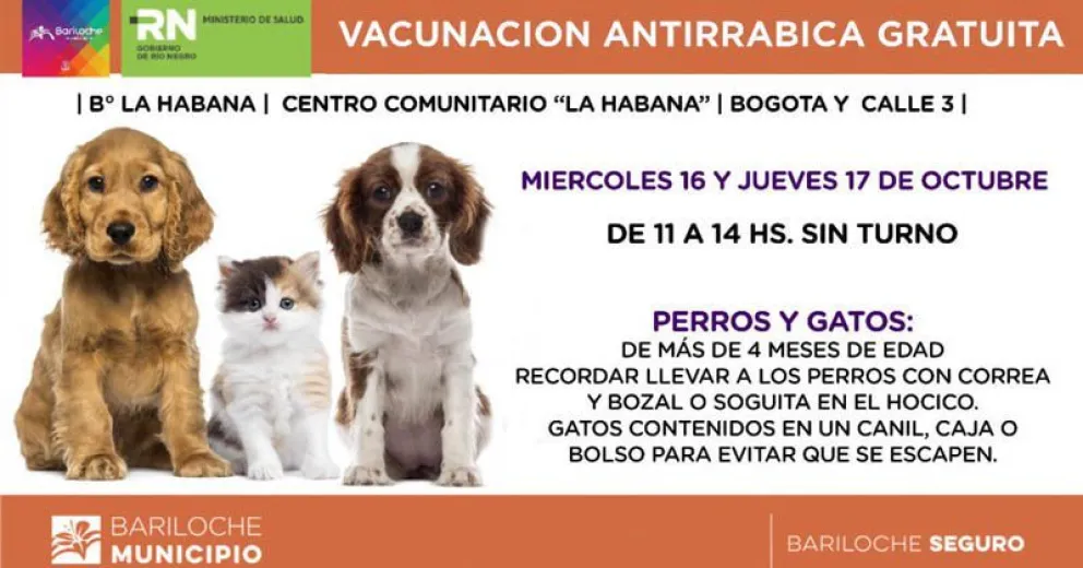 Vacunarán contra la rabia a perros y gatos en Bº La Habana