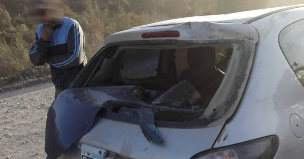 Caballos sueltos y asustados casi provocan una tragedia