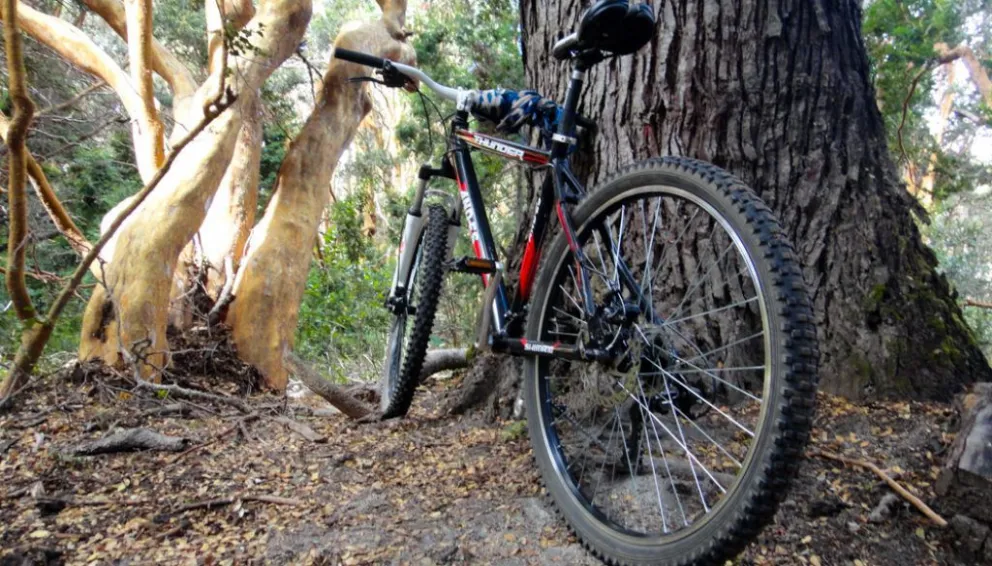 Molestias por el cierre del sendero al Bosque de Arrayanes para ciclistas
