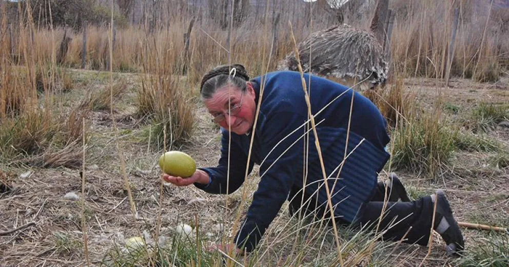 El film de un docente de Bariloche recibió una nueva distinción