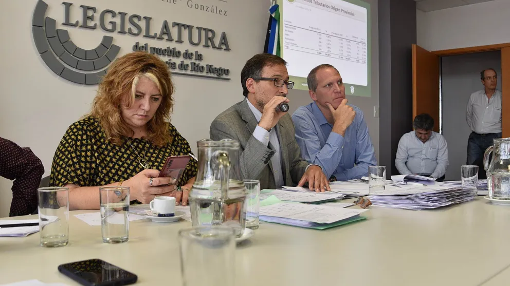 El ministro Domingo presentó el Presupuesto 2020 en Comisiones