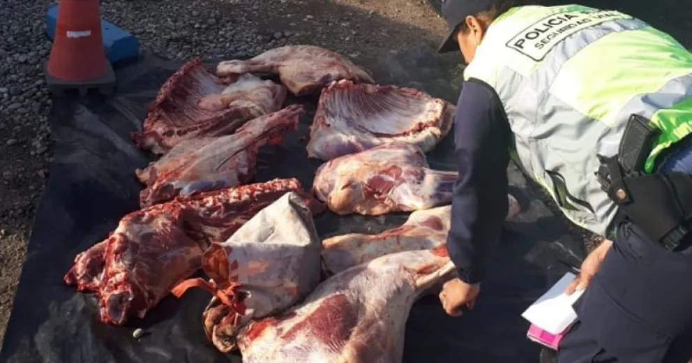 Secuestran 120 kilos de carne vacuna transportada de manera irregular