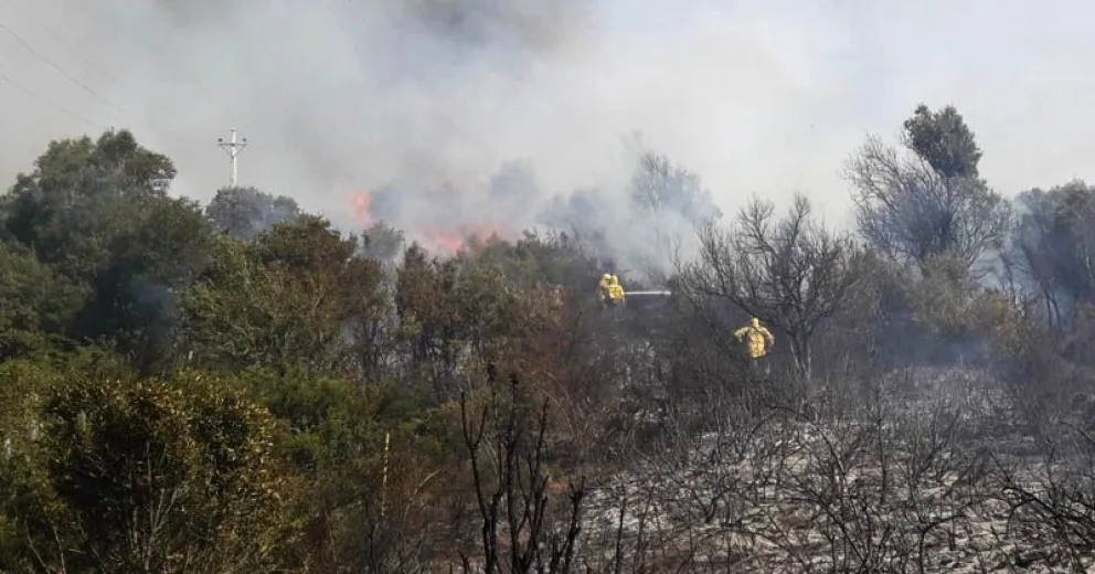 Piden reforzar medidas de prevención de incendio forestales