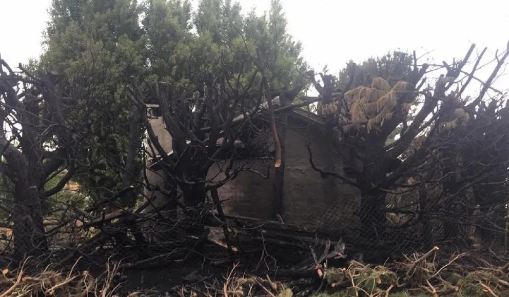 Preocupación en Dina Huapi por cinco focos de incendio durante la madrugada