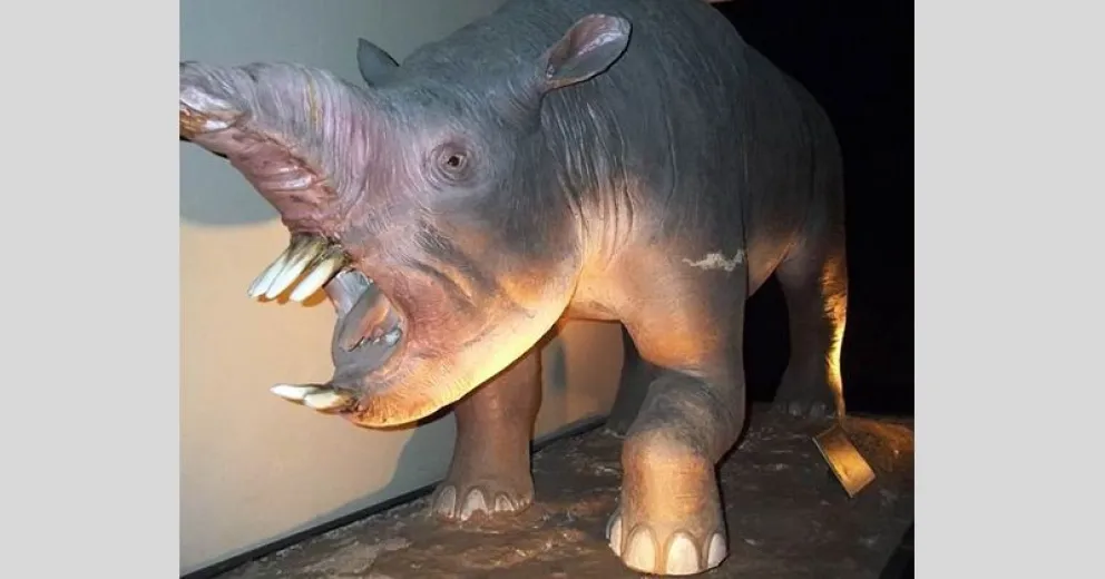 Hallaron un nuevo mamífero gigante en Comallo que vivió hace 15 millones de años