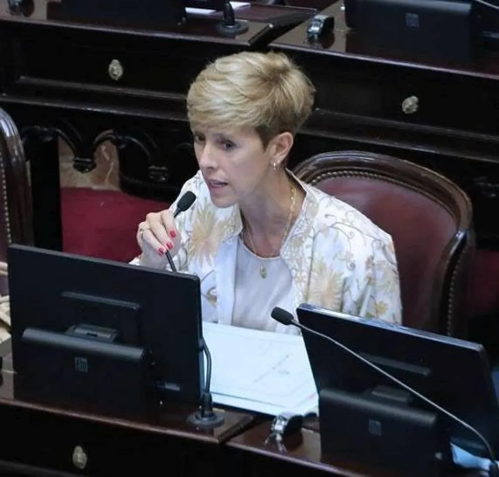 García Larraburu: "debemos incrementar la conectividad aérea de Río Negro"