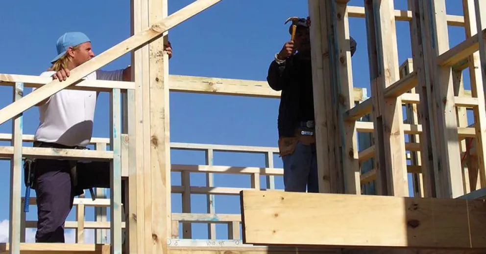 Las casas de madera y el beneficio para el cuidado del medio ambiente