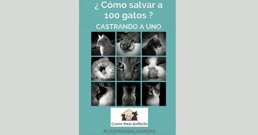Peña solidaria mascotera