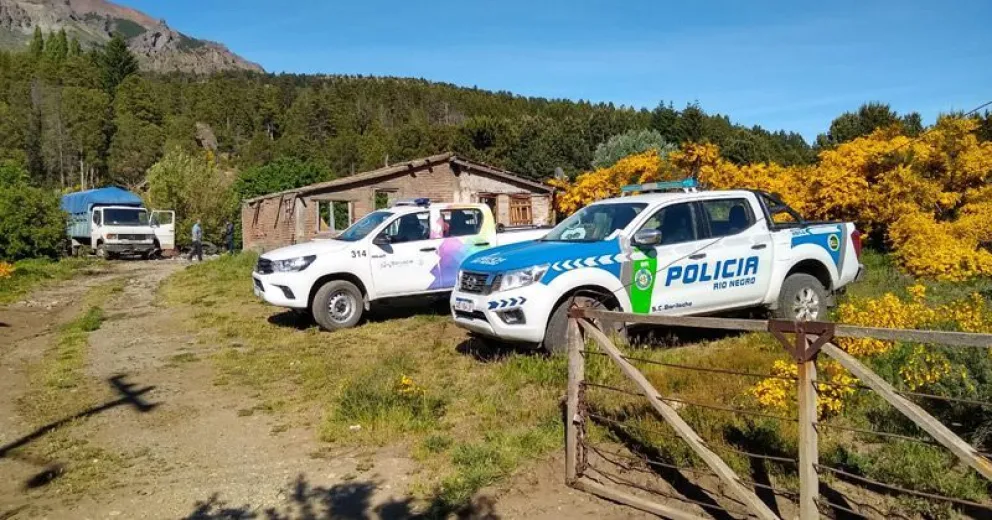 Secuestraron cerdos vivos en un allanamiento