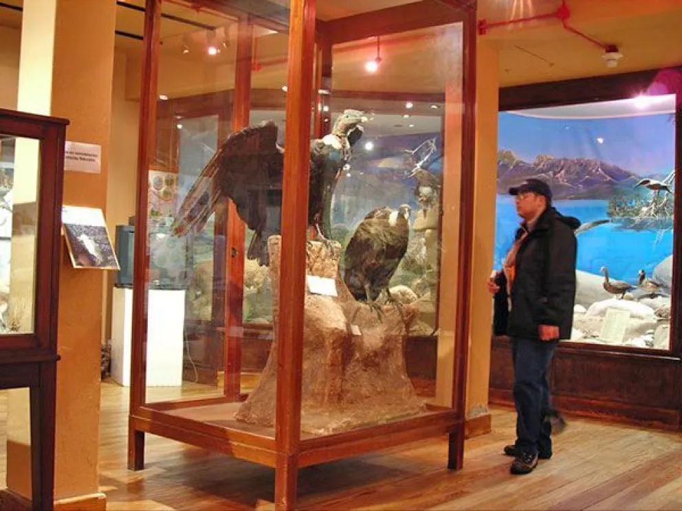 Los museos de Bariloche no pagarán más impuestos   