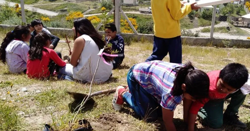 Chicos de de la Escuela 367 plantaron árboles autóctonos