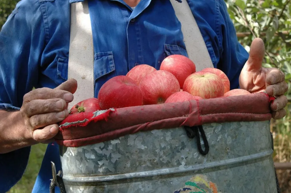 Río Negro defenderá la política de no retenciones para la producción de sus economías regionales