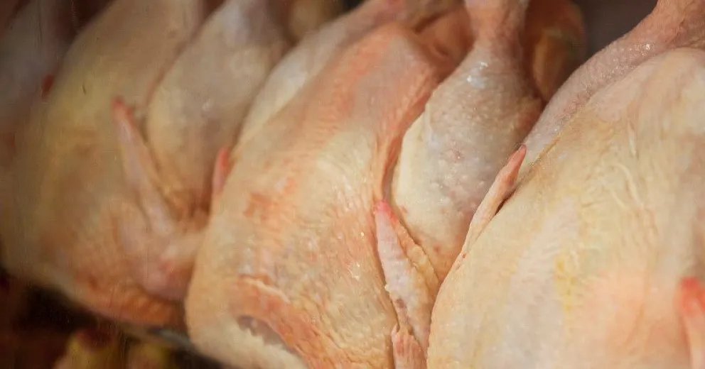 Consejos útiles para la preparación y traslado de alimentos en las Fiestas