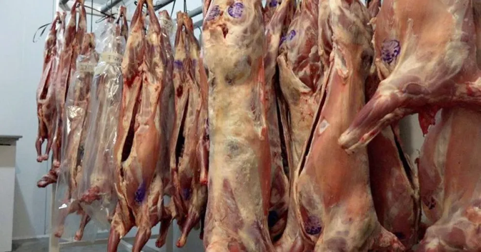 Vuelven los chivos y corderos al Mercado Comunitario para estas fiestas