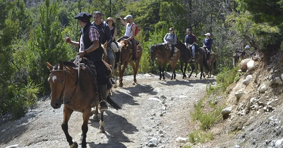 Chubut y Río Negro: aventura y gastronomía para todos los gustos