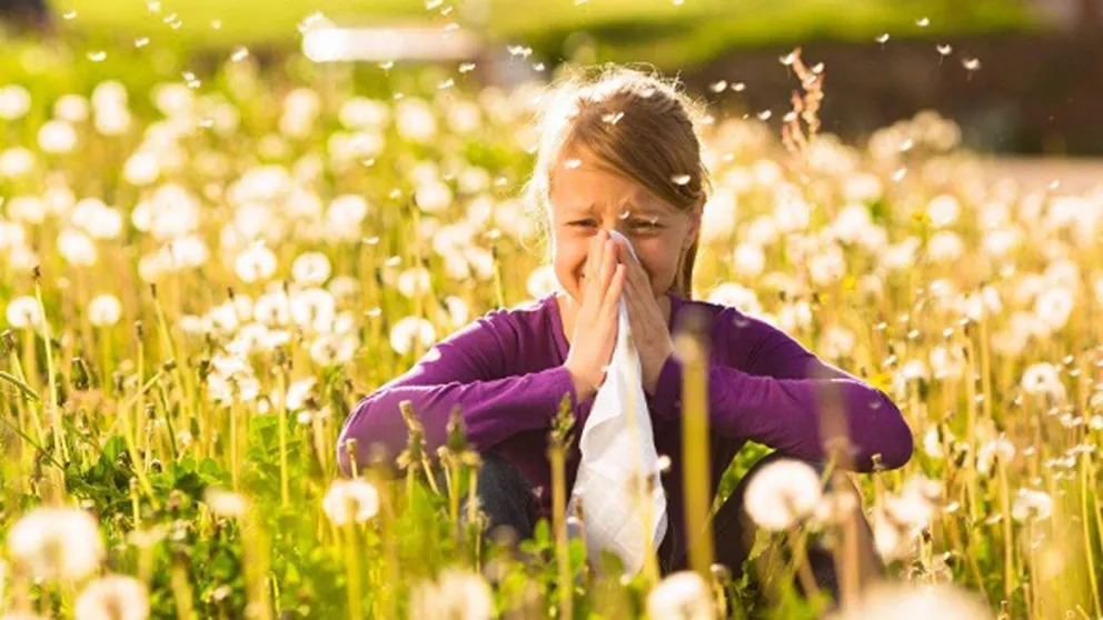 Se acabó la primavera pero las alergias no aflojan