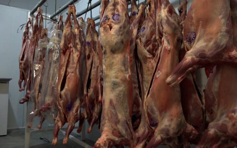 Llegan chivitos y corderos de la zona para estas fiestas: cotizan en bolsa