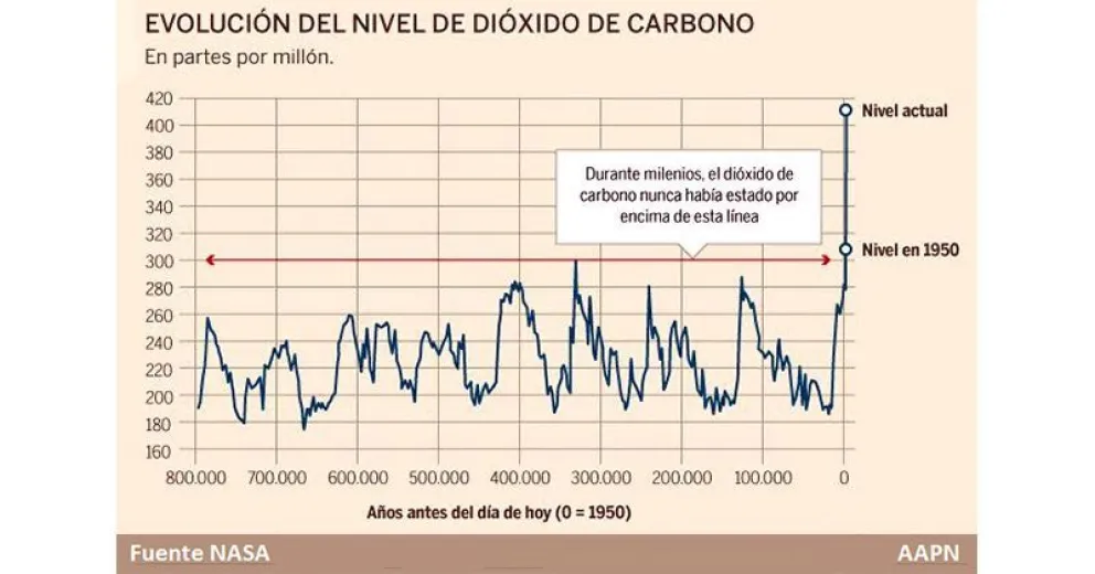 Cerramos 2019 con un deshonroso récord