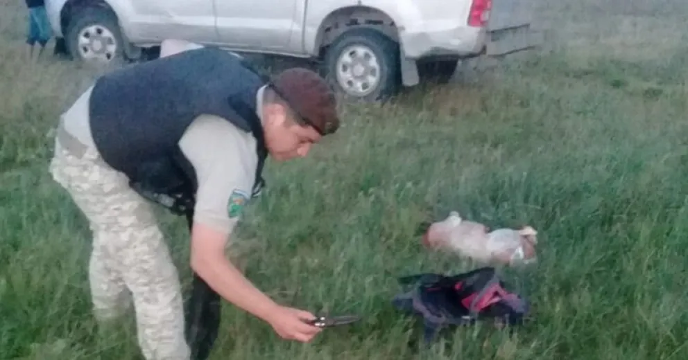 Furtivos fueron sorprendidos sustrayendo animales de la estancia El Cóndor