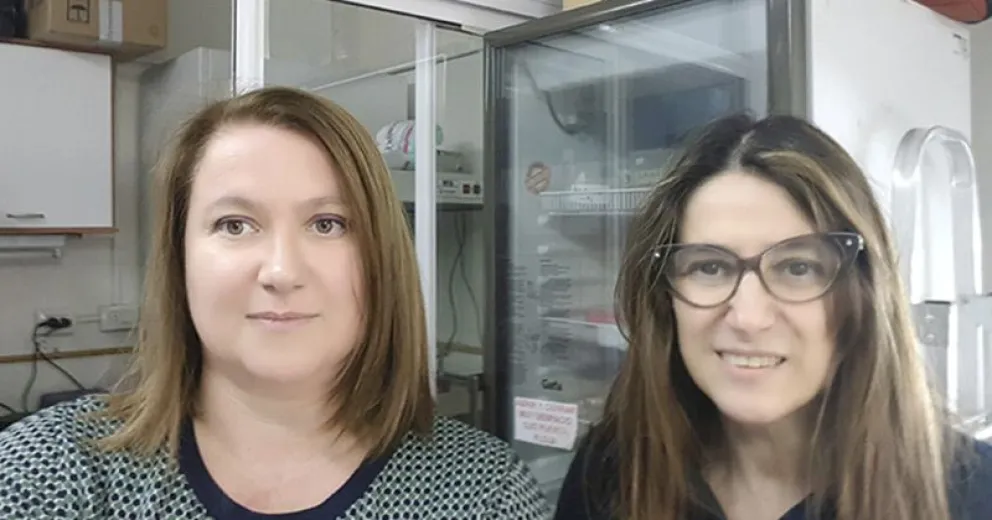 Científicas platenses desarrollan método para detectar bacterias patógenas en miel