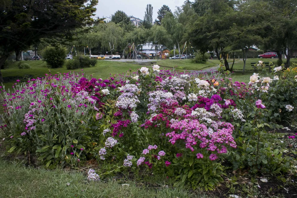 ¿Cómo arranca la semana de la primavera?
