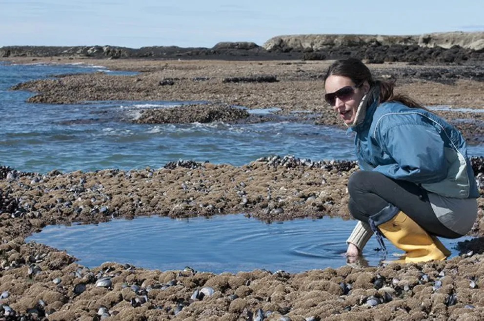Un alga exótica podría usarse como alimento o fertilizante