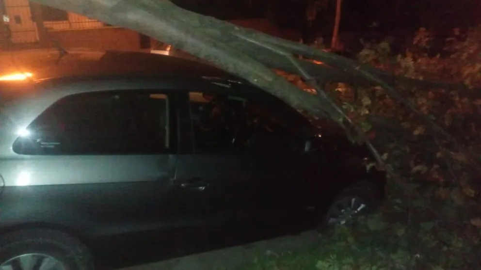 Un auto resultó dañado tras la caída de una rama en el centro