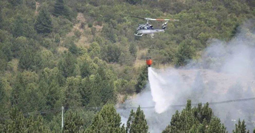 Inician investigación para determinar el  origen de los incendios forestales