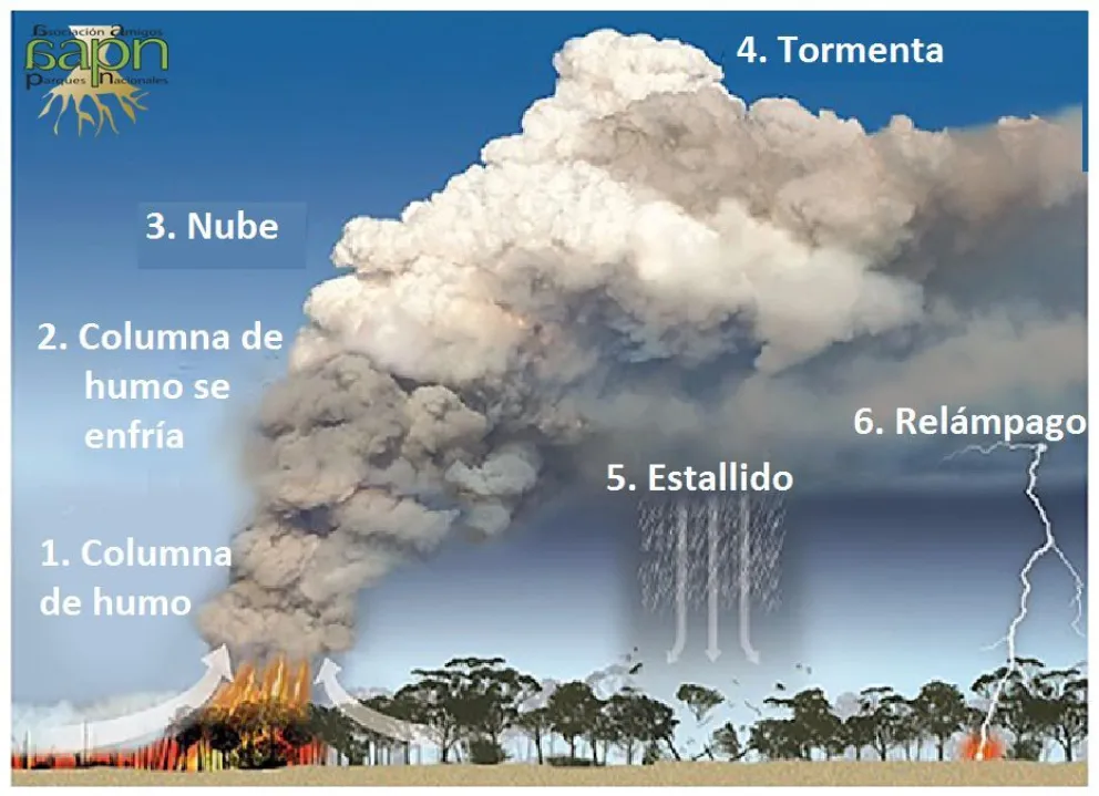 (Foto BoM)