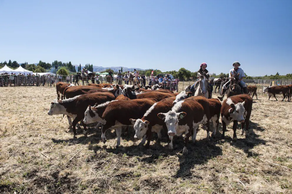 El campo vive momentos de incertidumbre por lo que pueda suceder (foto archivo).