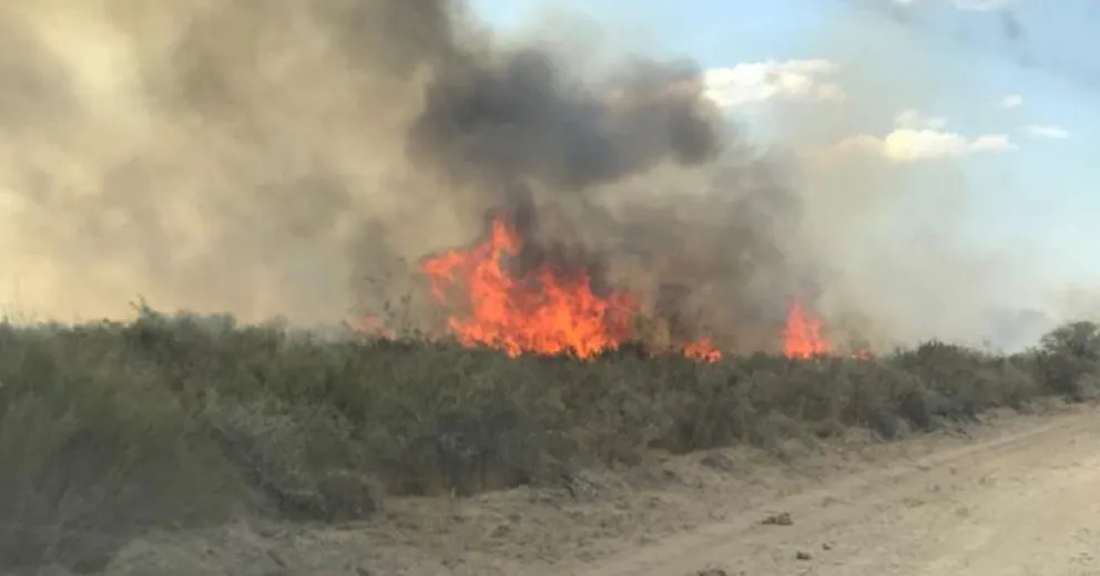 Arduas tareas para combatir el incendio en Guardia Mitre