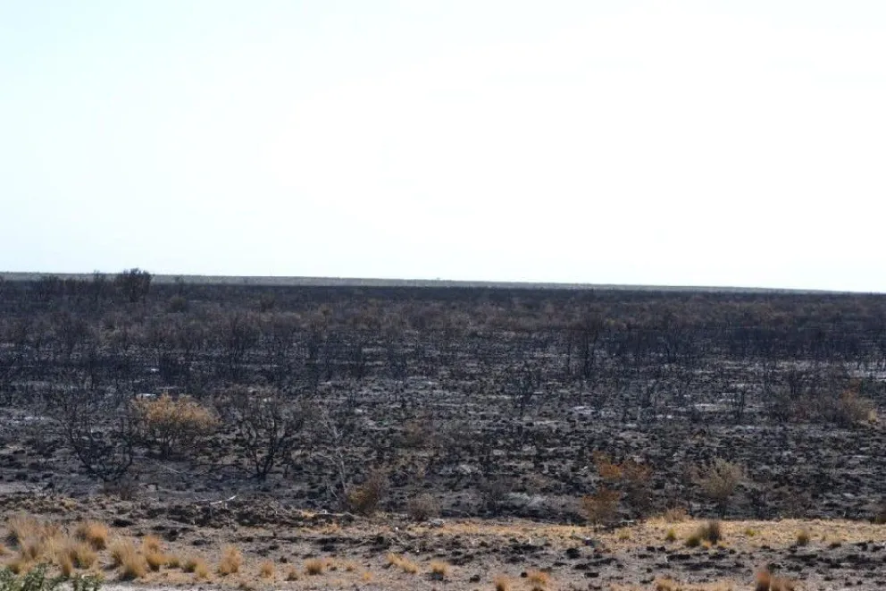 Bomberos y personal del SPLIF lograron extinguir el incendio en Guardia Mitre