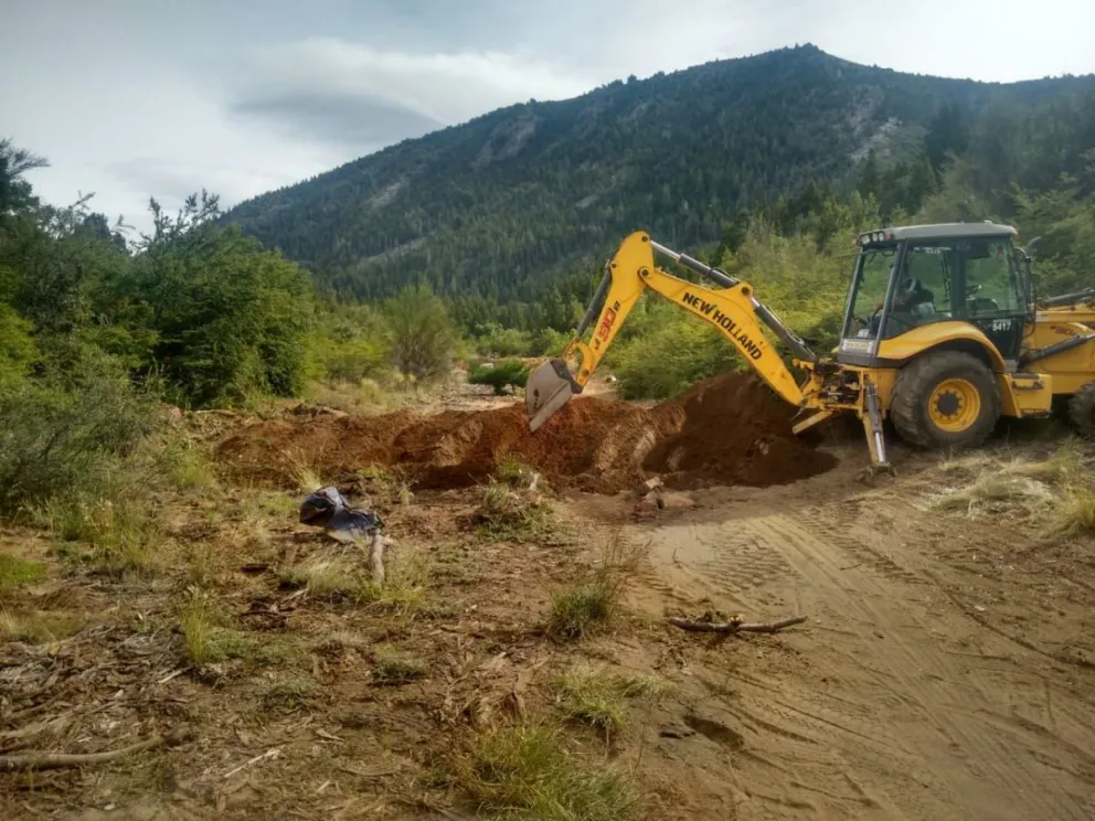 Decomisaron material forestal en el cerro San Martín
