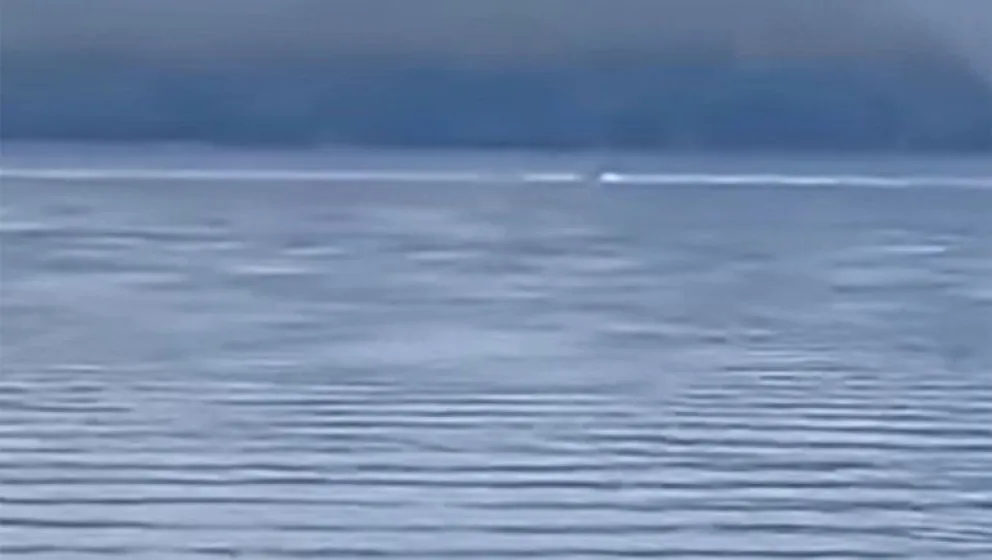 ¿Qué había en el lago? Aseguran  que no era el Nahuelito, sino  un cardumen de mantarrayas