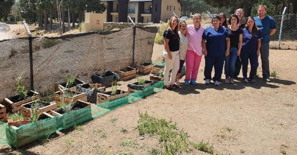 Buscan disminuir el consumo de gaseosas y sal con el uso de plantas aromáticas