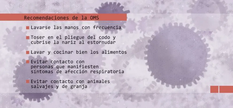 Verdades, luces y sombras detrás del coronavirus