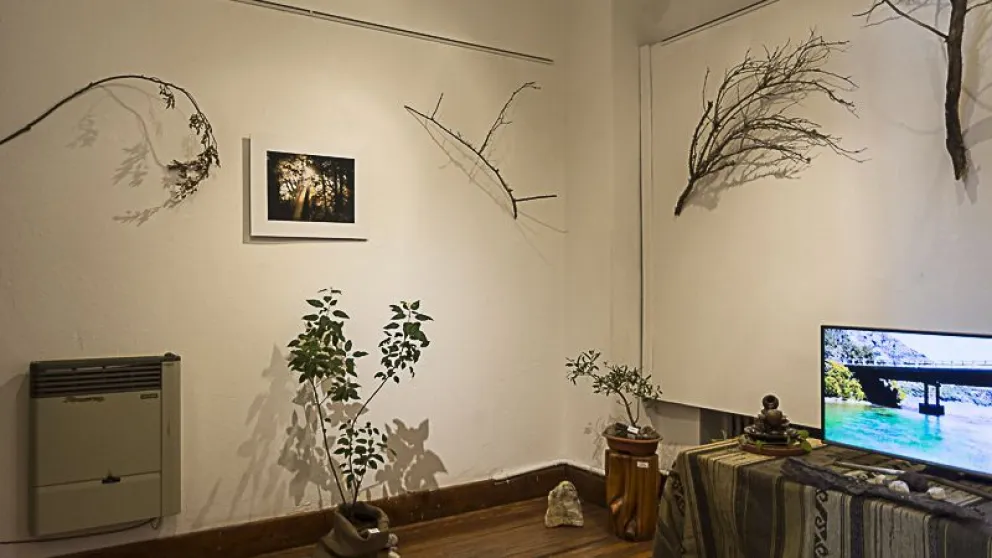 Excelente muestra fotográfica de Hugo Zimmerman en la sala Frey