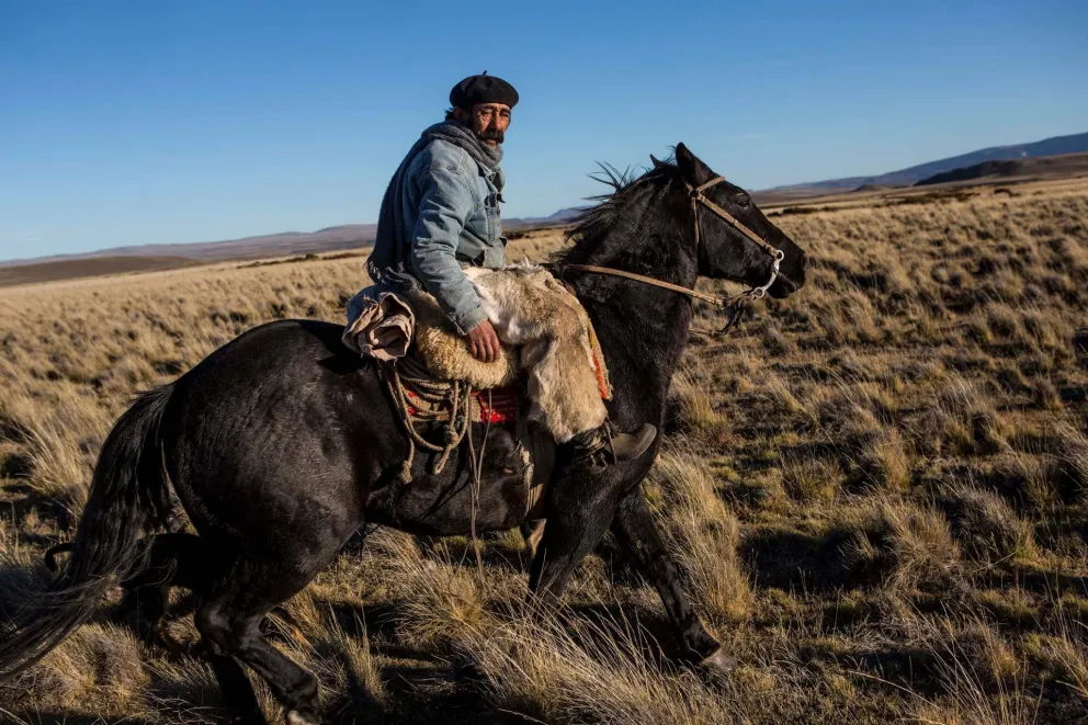 Los caballos patagónicos no vinieron del Río de la Plata