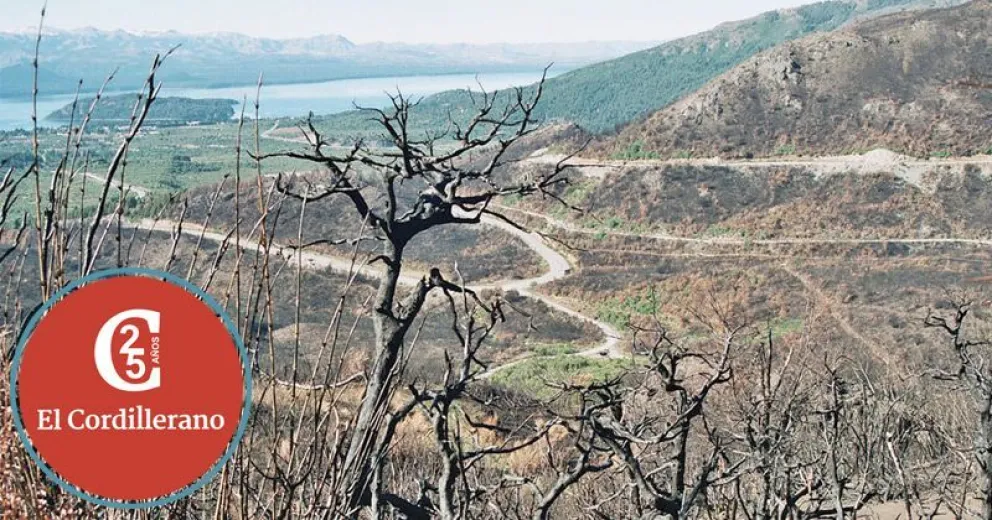 Antes de que se apagara el fuego, ya comenzaban con la restauración del ciprés de la Cordillera