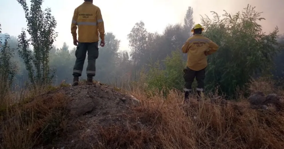 Piden ayuda a Nación por los incendios en Conesa