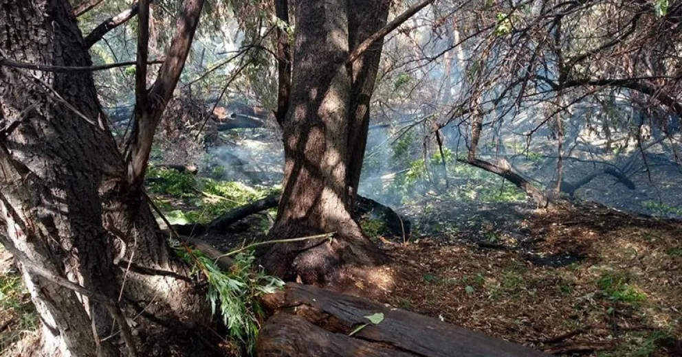 Los incendios en Conesa están controlados