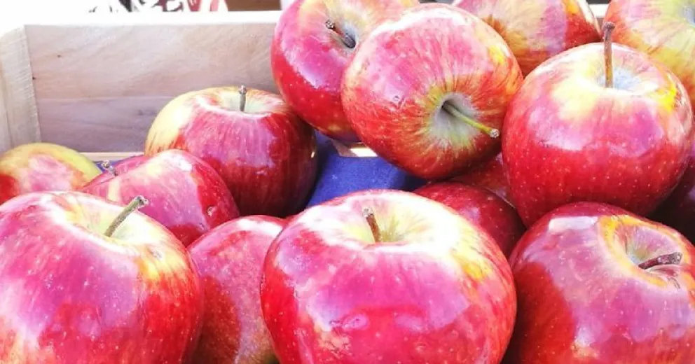 Río Negro sigue aportando más del 80% de las manzanas al país