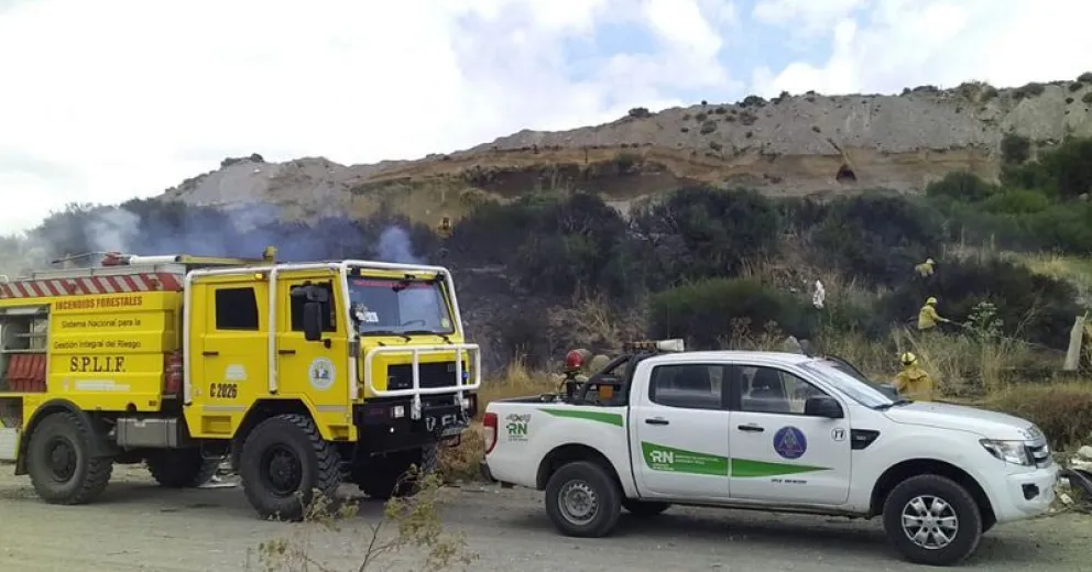 Controlaron un incendio forestal en El Vivero