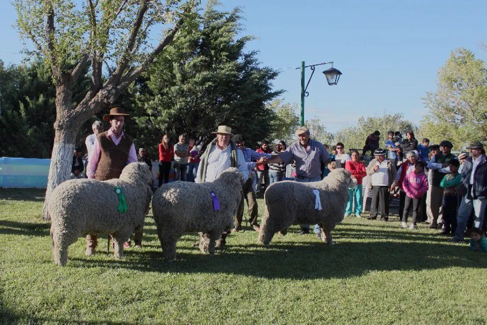 Con gran expectativa comienza la 7º Fiesta Nacional de la Lana